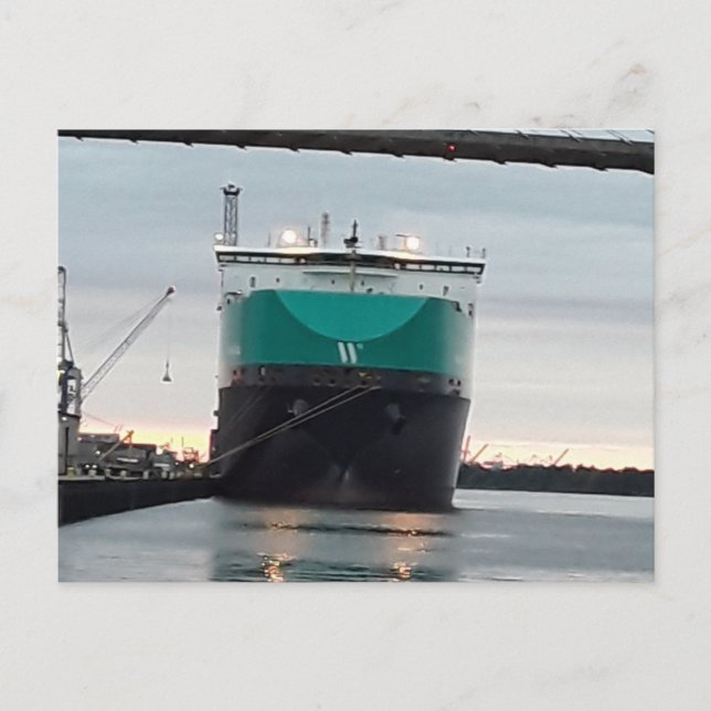  wunderschöne Savanne Georgia Postkarte (Vorderseite)