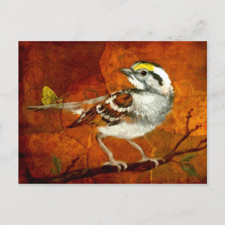 wunderschöne Vogel Postkarten 13