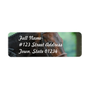 Wunderschöne Warmblut-Pferde-Postmarken