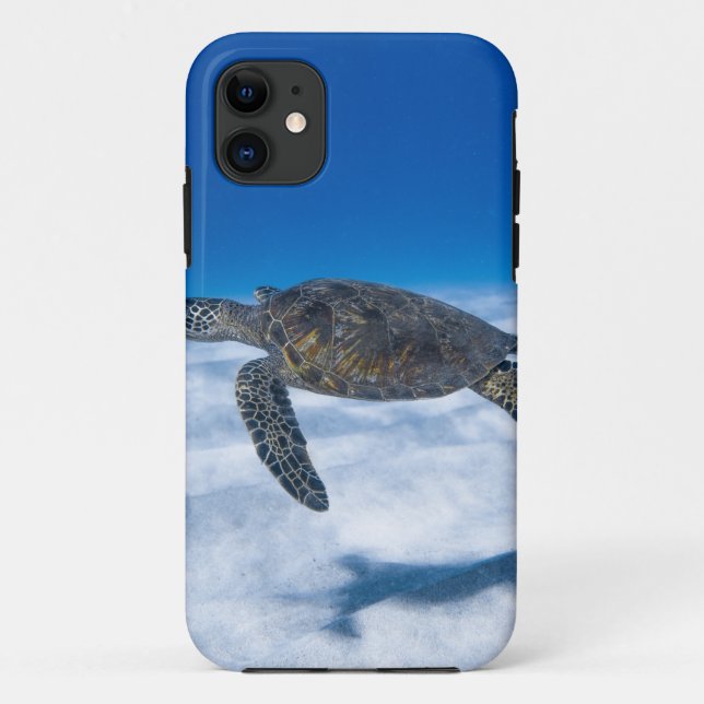 Wunderschöne Wasserschildkröte Case-Mate iPhone Hülle (Rückseite)
