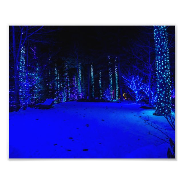 Wunderschöne Weihnachtszeit 8 x 10 Kodak Pro Print Fotodruck (Vorne)