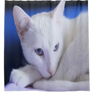 Wunderschöne weiße Katze/Fügen Sie das Foto Ihres Duschvorhang