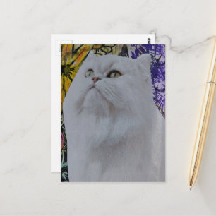 Wunderschöne weiße Katze in Blumen-Collage Postkarte