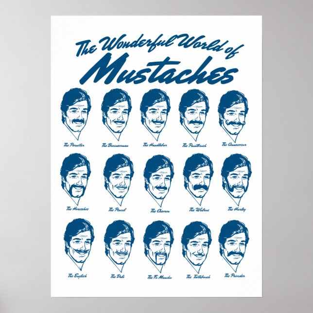 Wunderschöne Welt von Mustaches Poster (Vorne)