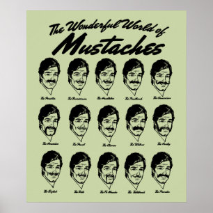 Wunderschöne Welt von Mustaches Poster