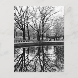 Wunderschöne Winterlandschaft im Zentralpark Postkarte
