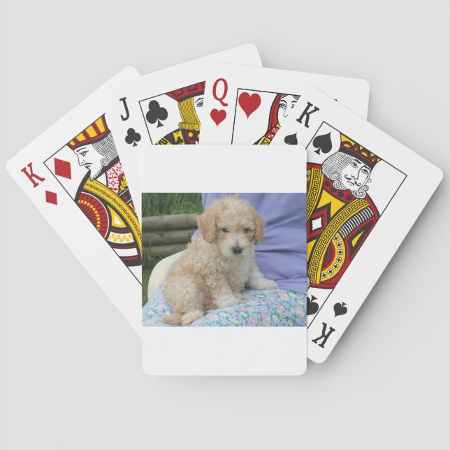 Wunderschöner Cavapoo-Welpe, der Ihren Weg ansieht Spielkarten (Rückseite)