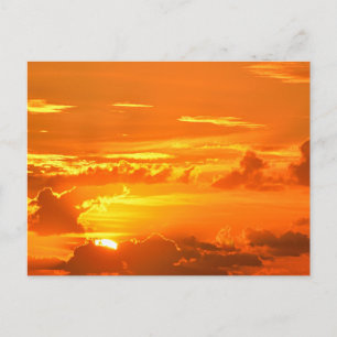 Wunderschöner Florida-Sonnenaufgang Postkarte