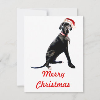Wunderschöner Great Dane in Santa-Hut Mitteilungskarte