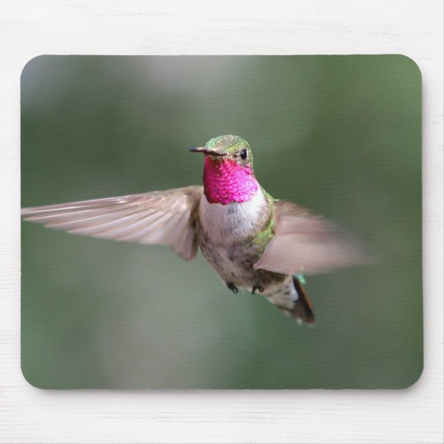 Wunderschöner Hummingbird in Flight Mouse Pad Mousepad (Vorne)