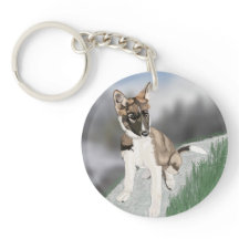 Wunderschöner Husky-Welpe