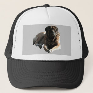 Wunderschöner Mastiff Kappe