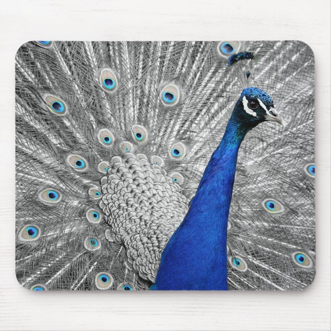 Wunderschöner Pfauenmaul Mousepad (Vorne)