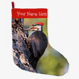 Wunderschöner Pileated Woodpecker auf dem Baum Großer Weihnachtsstrumpf