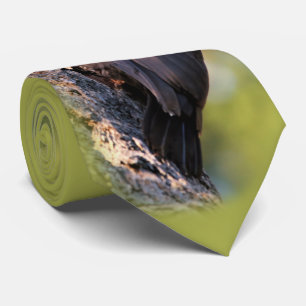 Wunderschöner Pileated Woodpecker auf dem Baum Krawatte