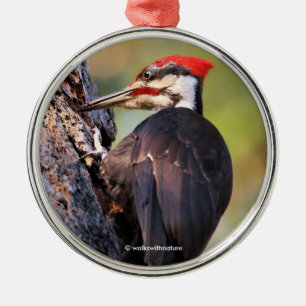 Wunderschöner Pileated Woodpecker auf dem Baum Ornament Aus Metall