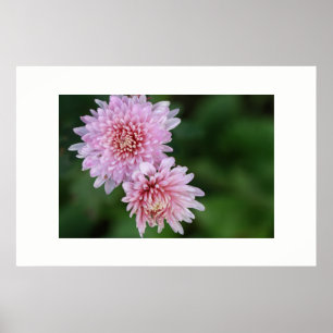 Wunderschöner Poster mit zarten rosa Blumen