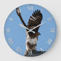 Wunderschöner Rotschwanzvogel