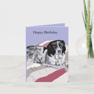 Wunderschöner Schwarz-Weißer Springer Spaniel Karte