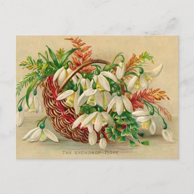 Wunderschöner viktorianischer Blumenkorb mit Schne Postkarte (Vorderseite)