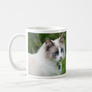 Wunderschönes blauäugiges Ragdoll-Kätzchen Kaffeetasse