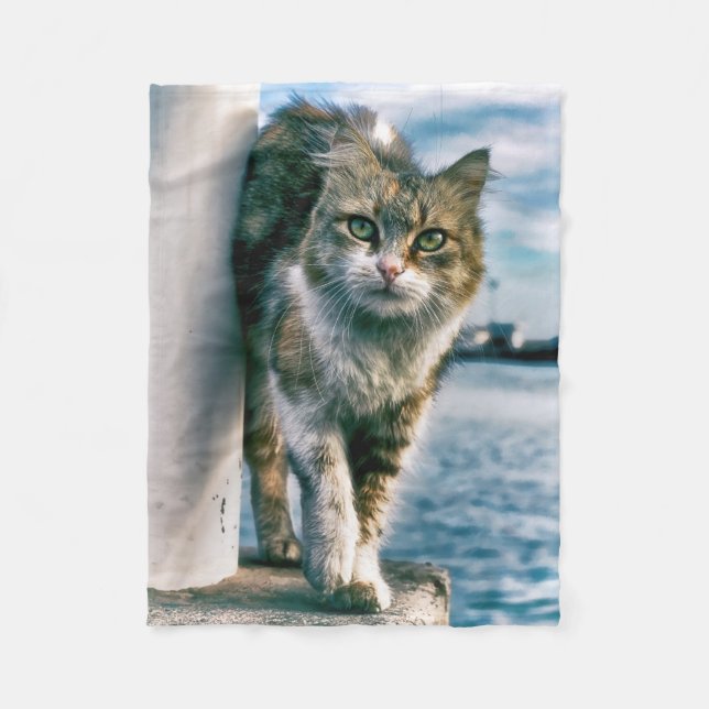 Wunderschönes Cat Fleece Blanket (Vorderseite)