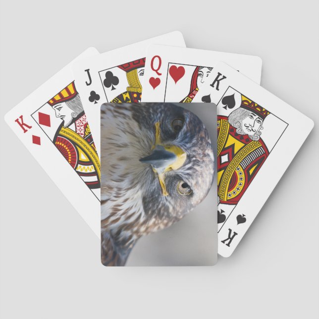 Wunderschönes Eagle Deck beim Kartenspielen Spielkarten (Rückseite)