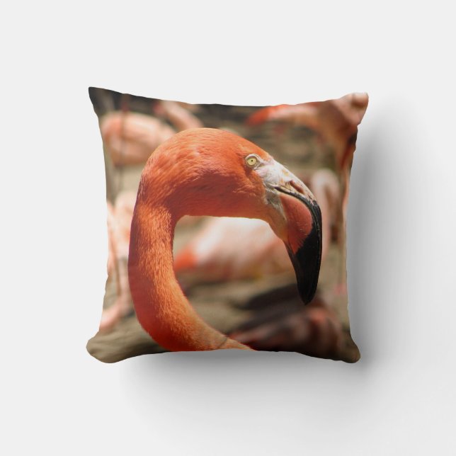 Wunderschönes Flamingo Kissen! Kissen (Vorderseite)