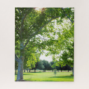 Wunderschönes Forest Disk Golf Puzzle