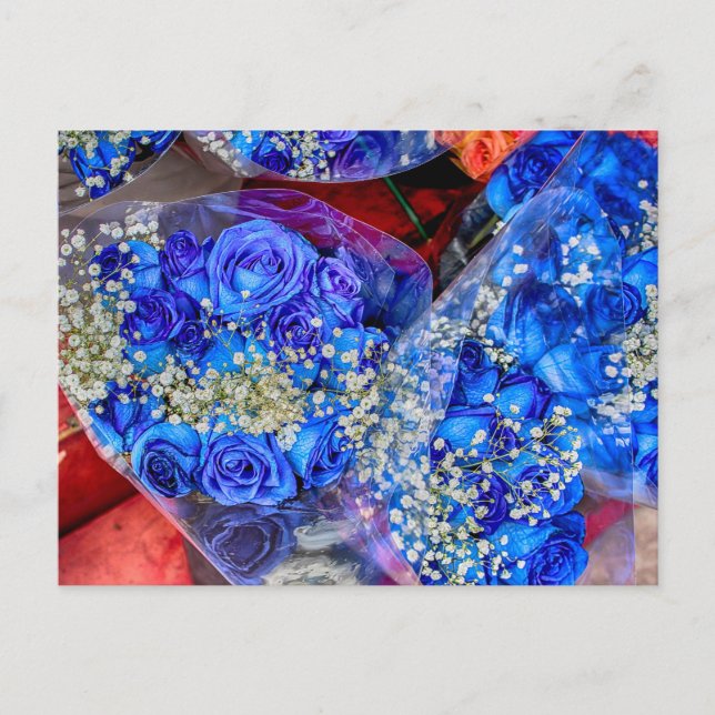 Wunderschönes Foto mit blauen Rose Postkarte (Vorderseite)