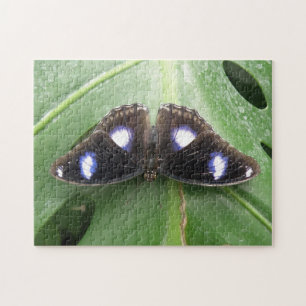 Wunderschönes Gepunktetes Schmetterlingspuzzle Puzzle