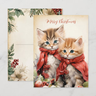 Wunderschönes Kätzchen-Paar Weihnachten Postkarte