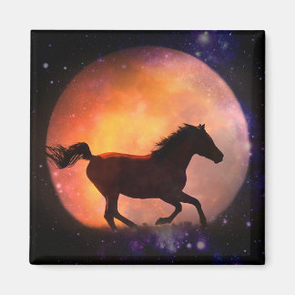 Wunderschönes Pferd Art Magnet