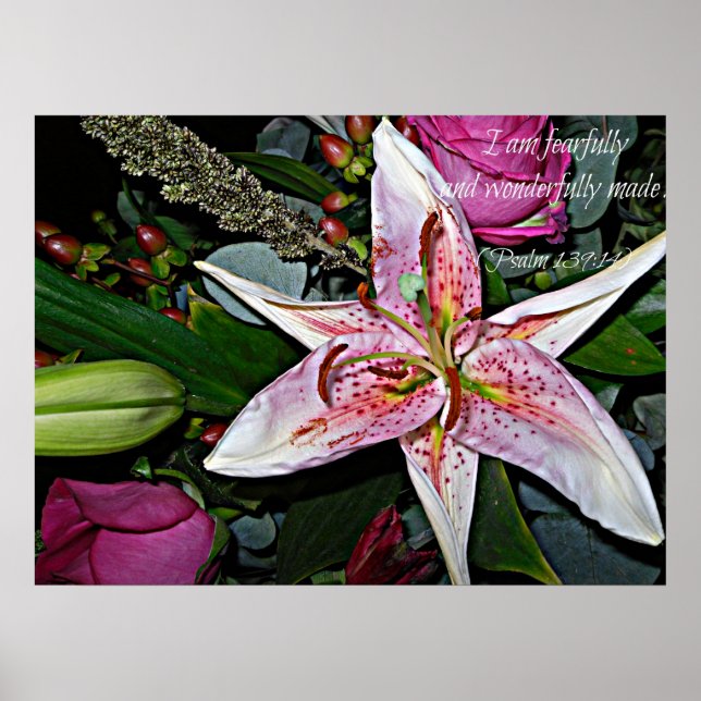 Wunderschönes Poster (Vorne)