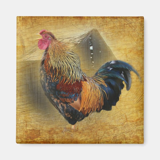 Wunderschönes Rooster und rustikales Hühnercoop Magnet (Vorne)