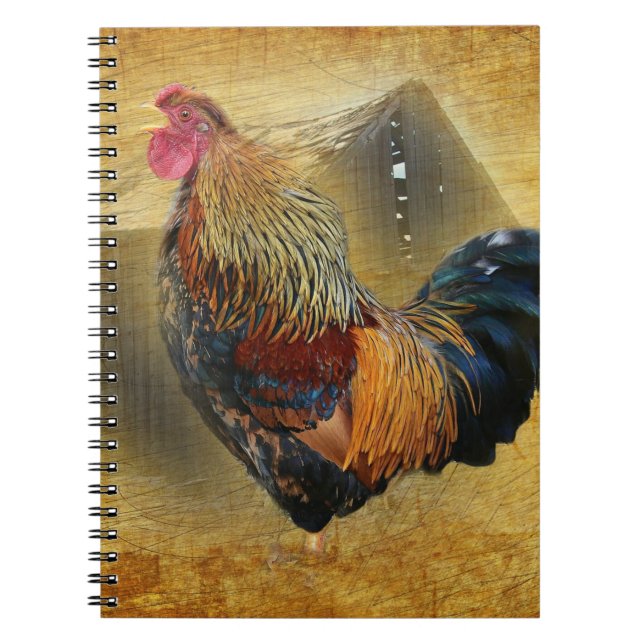 Wunderschönes Rooster und rustikales Hühnercoop Notizblock (Vorderseite)