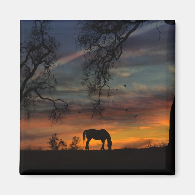 Wunderschönes Südwestpferdmagnet Magnet (Vorne)