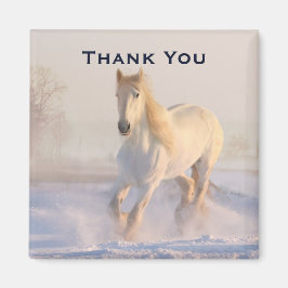 Wunderschönes Weiße Pferd im Schnee Foto Danke Magnet