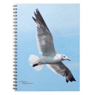 Wunderschönes White Seagull Flying Notebook Notizblock