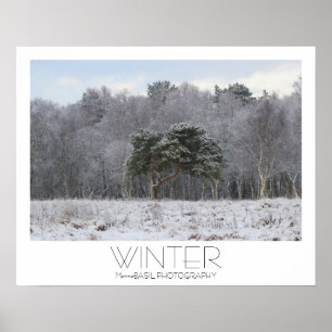 Wunderschönes Winterposter! Poster