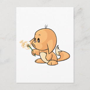 Wunsch von orange Kacheek Postkarte