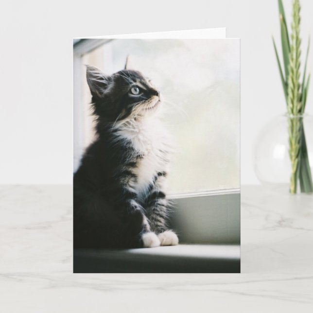 Wunschdenken-Gruß-Karte Karte (Vorderseite)