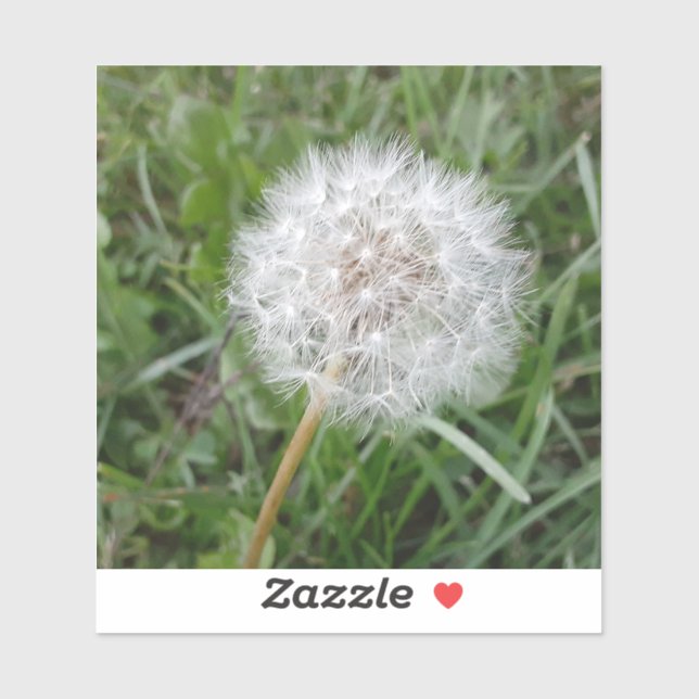 Wünsche Aufkleber (Blatt)