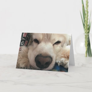 WÜNSCHE ICH "SEE EUCH" FÜR DEINEN GEBURTSTAG KARTE