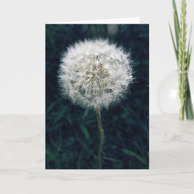 Wünsche Karte (Vorderseite)