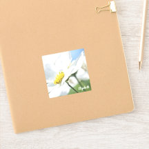 Wünsche mit White Daisies Personalisiert