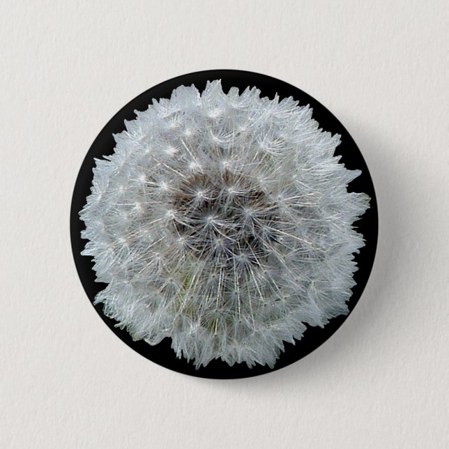 Wünsche sind geckig button (Vorderseite)