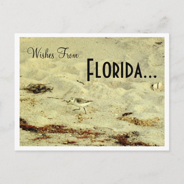 Wünsche von, Florida... Postkarte (Vorderseite)