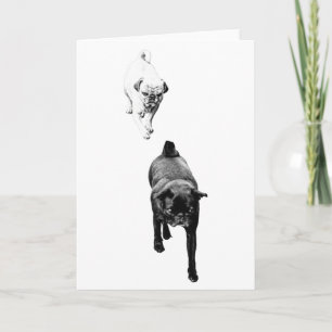 Wünsche Wärme, sanftes Hunde-Duo Karte