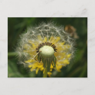 Wünschen Postkarte